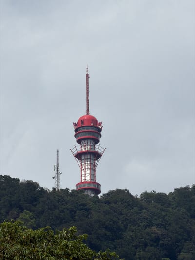 A tall, red and silver tower stands prominently against a gray sky, partly obscured by a dense green forest. The tower has a bulbous top and a lattice-like support structure. Another, smaller antenna-like structure is visible in the background between the tower and the trees. Green foliage is visible in the lower right corner of the image.