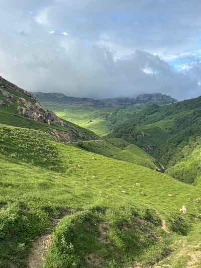 A vast, rolling green landscape under a cloudy sky dominates the frame, with a lone light-colored animal, possibly a cow or goat, visible in the lower right foreground. The scene depicts rolling hills covered in lush green grass, with rocky outcrops and steep slopes on the left side of the image. Further in the distance, more verdant, tree-covered hills descend into a valley. The sky above is filled with thick, gray clouds with patches of blue sky visible in between, suggesting a dynamic weather system. The overall impression is one of a natural, mountainous terrain, likely in a rural or undeveloped area. Without further information or context, it is impossible to confirm the location as Верхняя Мара, Russia based solely on the visual evidence in the image.