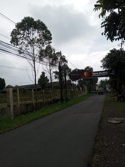 A narrow asphalt road stretches ahead, flanked by green vegetation and a weathered stone fence. Trees with dense foliage and numerous power lines are overhead. A large banner advertises "New Blend Strong Taste". In the distance, a vehicle is parked near a building. Overcast skies create a muted, natural color palette. The scene suggests a rural or suburban setting with a mix of residential and commercial elements.