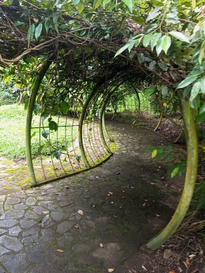 A winding stone pathway is covered by an archway of green foliage. Green metal arches with wire support the overhead growth, forming a tunnel effect. Moss grows on the arches and pathway stones. The path curves into the distance, disappearing into further greenery. The overall scene suggests a tranquil garden setting.