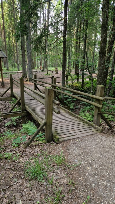 The image shows a wooden footbridge in a forest setting. The bridge is made of rough-hewn logs and planks, with simple railings also constructed from logs. It spans a shallow depression or gully, with the path leading up to it and continuing on the other side. The forest floor is covered in fallen leaves, pine needles, and some patches of green vegetation, including ferns. Tall coniferous trees dominate the background, with dappled sunlight filtering through their branches. In the distance, some wooden structures, possibly picnic tables or benches, can be seen. The scene is natural and appears to be a maintained recreational area within a forest. The location is identified as Daudas, Latvia. There are no people visible in the image.