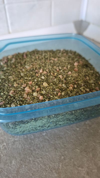 A clear plastic container filled with a mixture of green herbs and small, light-colored granules sits on a speckled grey countertop. The container has a blue rim. The background consists of a white tiled wall. The scene is indoors, likely a kitchen. There is no indication of the city of Krauja, Latvia.