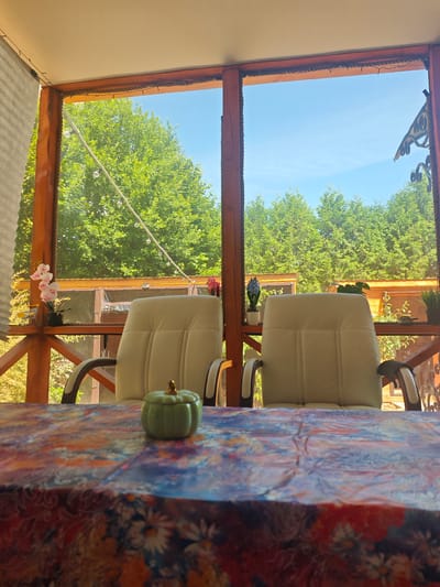 The image depicts a screened-in porch with two upholstered chairs facing a table covered with a floral-patterned tablecloth. A small green pumpkin-shaped decoration sits on the table. Through the screen, a lush green forest is visible under a clear blue sky, suggesting a rural or suburban setting. The porch has wooden posts and railings, and string lights are visible along the ceiling. The overall impression is one of a tranquil outdoor space. The specific location of Хлевино, Russia, is not discernible from the visual content of the image.