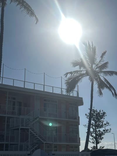 The image shows a low-angle view of a building and palm trees against a bright, sunlit sky in Coolangatta, Australia. The building has multiple floors with a white, latticed exterior. Two palm trees frame the left side of the image and an evergreen tree is visible on the right. A strand of lights hang from the building.