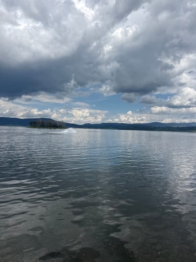 This image captures a wide view of the Batak Reservoir, located in the vicinity of Цигов чарк, Bulgaria, under a partly cloudy sky.
The upper half of the frame is dominated by a dynamic sky, featuring a mix of large, dark grey cumulonimbus clouds interspersed with areas of lighter grey and patches of clear blue sky visible predominantly on the right.
A range of dark, undulating hills or low mountains forms the distant horizon, extending across the width of the image. In the midground, slightly to the left of the central axis, a small, tree-covered island is visible. The island features both dark green foliage and several bare, light-colored tree trunks, suggesting dead or leafless trees.
The vast body of water, which occupies the lower two-thirds of the image, displays a dark, rippled surface reflecting the overcast sky. A prominent white spray or wake is observed in the water to the right of the island, indicating the movement of an unseen watercraft, such as a jet ski or small boat, traveling at speed. A trailing wake is faintly visible behind the main spray. The water surface in the foreground exhibits subtle reflections and minor surface debris or foam. No people are visible.