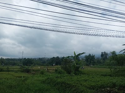The image displays a rural, agricultural landscape identified as Lunugamwehera, Sri Lanka, under an overcast sky. The upper third of the frame is crossed horizontally by multiple parallel black utility wires. Below these wires, a gray, uniformly cloudy sky covers the upper background. The immediate foreground features dense green ground cover, primarily grass and low-lying vegetation, with broad-leafed plants resembling banana trees visible on the right.

The midground consists of expansive cultivated fields, predominantly green, indicative of rice paddies. Several small, indistinct human figures are present within these fields, suggesting ongoing agricultural work or movement. Two small, rudimentary structures, appearing as huts or shelters, are visible: one near the far left edge of the cultivated area and another positioned slightly right of the frame's center. Patches of trees and dense foliage are scattered throughout the midground, bordering the fields.

The background shows a continuous treeline, behind which two distinct lattice-structure communication towers rise against the sky, one on the left and another further right. Distant hills or mountains are faintly discernible along the horizon, partially obscured by atmospheric conditions or cloud cover. The scene is illuminated by diffused light, consistent with an overcast day.