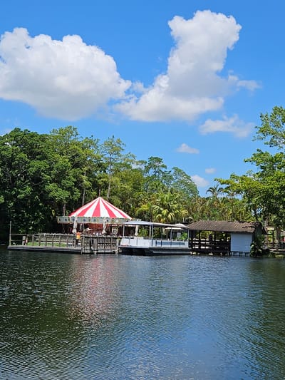 This is a full, eye-level, outdoor, vertical shot of a carousel on a wooden pier extending into a body of water. The carousel has a red and white striped canopy and is surrounded by a wooden railing. To the right of the carousel is a white building with a dark roof, supported by stilts over the water. Behind the pier and buildings, a dense forest of green trees and palm trees forms the background. The water in the foreground is dark blue and rippled, reflecting the colors of the sky and the structures on the pier. The sky is bright blue with scattered white, fluffy clouds. This scene is located at the Palm Beach Zoo in West Palm Beach, Florida, United States of America.