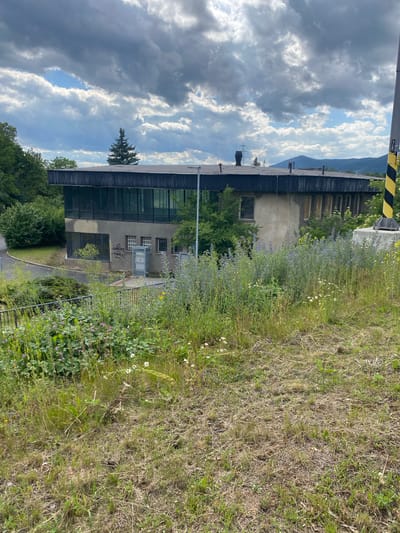 The image shows a multi-story building with a dark, corrugated metal roof and large, dark-tinted windows on the upper floor. The lower portion of the building is constructed of concrete and appears somewhat weathered. There is graffiti on the concrete wall. In front of the building, there is a dense area of tall green vegetation with scattered purple and white wildflowers. A black metal fence runs along the edge of the overgrown area. To the right of the building, a striped yellow and black pole stands on a concrete base. The background features a treeline and distant mountains under a cloudy sky with patches of blue. The scene is located on a grassy, slightly overgrown embankment overlooking the building and its surroundings. The time of day appears to be daytime.