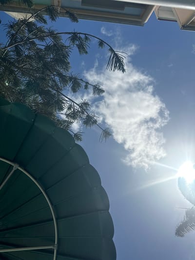 The image, taken from a low angle, features a bright sunny sky with a few white clouds. A building is visible on the left side of the frame. In the foreground is a dark green, circular awning or umbrella-like structure, partially obscuring the view. A tree with distinctive, needle-like foliage is positioned between the building and the awning. The location is Le Gosier, France.