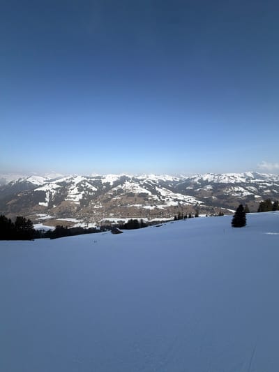 A wide-angle exterior photograph taken during daylight depicts a snow-covered mountainous landscape above Saanen, Switzerland. The foreground features an expansive, undulating white snowfield with faint parallel tracks visible in the lower right quadrant. Two dark, indistinct human figures are present on this snowfield in the mid-left. A line of dark evergreen trees borders the snowfield on the far left, and a solitary evergreen tree stands on the snow in the mid-right. In the midground, a village identified as Saanen is situated in the valley below, consisting of numerous buildings with varying roof colors, nestled among snow-covered hills and patches of dark evergreen forest. Additional snow-capped mountain ranges extend across the horizon. The upper half of the image is dominated by a clear, uniformly bright blue sky devoid of clouds.