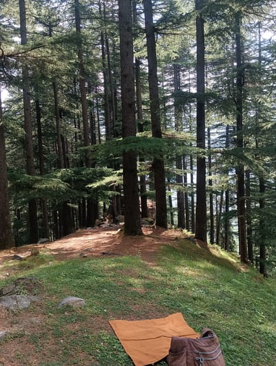 The image depicts a serene natural scene within the city of Chhyal, India, characterized by a dense forest of tall, coniferous trees. The ground is covered with lush green grass and fallen pine needles, with several large rocks scattered about. Sunlight filters through the dense canopy, creating dappled patterns on the forest floor and illuminating the tree trunks. In the foreground, a folded orange blanket lies on the grass, next to a brown backpack. A pathway, likely a trail, winds through the trees in the middle ground, its reddish-brown earth contrasting with the green foliage. The overall impression is one of tranquility and natural beauty.