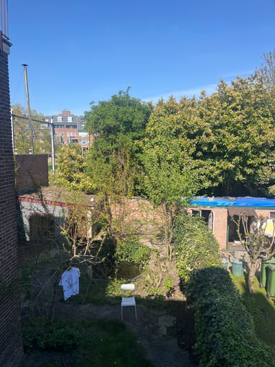 The image shows a backyard in Maastricht, Netherlands. A brick building, possibly a house or shed, is partially visible at the bottom, with a brick wall extending into the garden. A tree with sparse foliage and a white shirt hanging on its branches is in the foreground. In the middle ground, there are trees, bushes, and a white plastic chair on a paved area. A brick structure is covered with a blue tarp, and green bins are visible. Apartment buildings are seen in the distance against a clear blue sky. The overall scene depicts a cluttered backyard with overgrown vegetation.