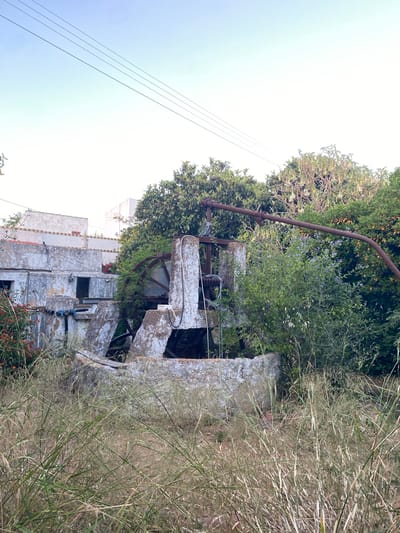 The image depicts an overgrown, derelict water wheel mechanism situated in Olhão, Portugal. The stone structure of the wheel is weathered and partially collapsed, with a large rusty metal wheel at its center, now entwined with dense green foliage and purple flowers. A rusted metal pipe arcs over the scene, connected to the mechanism. To the left, a crumbling, whitewashed building with peeling paint and open doorways stands partially obscured by overgrown vegetation, including red flowers. Tall, dry grasses dominate the foreground, obscuring the base of the structure. The sky above is clear and light blue, with power lines stretched across it. The overall impression is one of decay and nature reclaiming a man-made structure.
