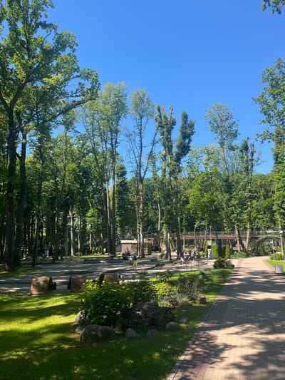 The image depicts a sun-drenched park setting with a clear blue sky and lush green trees lining a paved walkway. The perspective is from ground level, looking up and along the path. In the foreground, a well-maintained lawn is dappled with sunlight filtering through the tree canopy, casting long shadows across the grass and the adjacent walkway. The walkway itself is paved with light-colored bricks laid in a pattern and runs diagonally across the frame, disappearing into the distance.
Along the walkway, several modern, curved wooden benches are visible, some occupied by people. A few individuals are seated, enjoying the park. Further down the path, more benches and trees are lined up, creating a sense of depth. The trees are tall and slender with full green foliage, suggesting a warm season, likely summer. In the background, glimpses of buildings and more trees can be seen.
The overall atmosphere is peaceful and serene, indicative of a pleasant day in a public park. The bright sunlight and clear sky suggest it is daytime, likely late morning or early afternoon. There is no visible text in the image. The location context provided is Guryevsk, Russia.