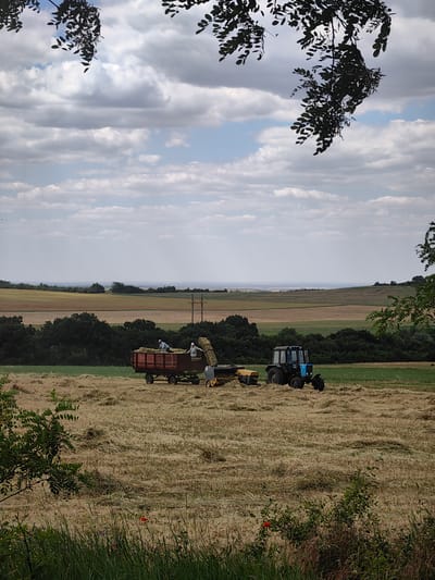 The image depicts a rural scene in the countryside, likely Ukraine, under a partially cloudy sky. In the foreground, a field is covered with cut hay, and some green grass and wildflowers are visible. In the middle ground, a tractor is actively working with a trailer and a baling machine. Two individuals are present, appearing to be engaged in agricultural work, possibly harvesting or baling hay. One person is visible in the trailer, and another is near the baling machine.
The overall setting is a vast agricultural landscape with rolling hills in the background. Trees line the middle distance, and a body of water, possibly a river or lake, can be seen in the far distance. The time of day appears to be daytime, with diffused sunlight suggesting it could be morning or late afternoon. The weather seems pleasant, with clouds scattered across the sky.
The activity is clearly agricultural, focusing on the process of haymaking. The presence of the tractor, trailer, and baling equipment points to a mechanized operation. The clothing of the individuals suggests practical attire for farm work.
There is no discernible text visible in the image. The scene evokes a sense of industriousness and the rhythm of rural life.