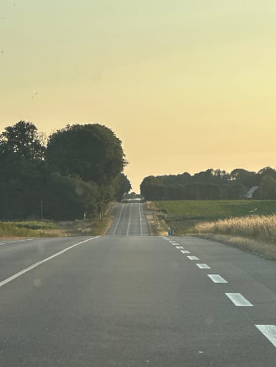 The image shows a straight, paved road in Bolleville, France, stretching towards a gentle incline under a hazy, pale yellow sky, indicative of dawn or dusk. The road is bordered by a grassy verge and dense foliage on either side. To the left, a cluster of dark green trees stands prominently, with a few smaller trees and bushes behind them. On the right, tall, dry grass lines the verge, and further in the distance, a small white house is visible amidst cultivated green fields and a line of trees. The road itself is marked with white lane dividers, some of which appear as dashed lines or broken segments. There are a few small, dark, bird-like shapes in the sky at the upper left of the image. A blue parking sign with a white "P" is visible on the right side of the road, near the dashed lane markers. The scene is tranquil and appears to be a rural landscape.