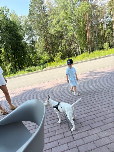 A white bull terrier on a leash is standing on a paved walkway. A young boy in a light blue linen outfit and a black baseball cap is walking away from the dog. To the left, partially visible, are the legs of a person wearing brown sandals. The walkway is bordered by a road, and beyond that, a lush green forest with tall trees. The scene appears to be in Morozovo, Russia.