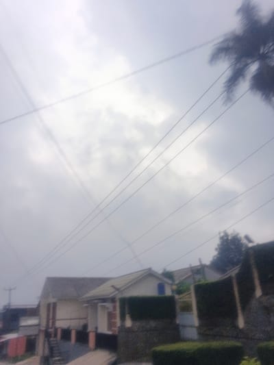 This image depicts a residential street scene in Dakshin Hichachhara, India, under an overcast sky filled with grey and white clouds. Numerous black utility lines traverse the upper two-thirds of the frame diagonally, with additional lines intersecting them on the left. A utility pole is partially visible on the far left, supporting some of these lines. In the mid-ground, a light-colored, possibly stucco, house with a dark grey or green corrugated roof is prominent. It features a visible entrance with a small porch supported by pillars and a set of steps leading down. A distinctive blue-colored window or architectural element is present on the right side of this house. To its right and slightly behind, another building with a similar roof style is partially visible. The foreground and mid-ground feature structured landscaping, including manicured dark green hedges planted atop low stone or concrete walls, serving as property boundaries. A large, dark palm tree is partially visible on the far upper right, while other dense green foliage and trees are present in the background. A sloped area of ground, possibly a road or driveway, is visible in the lower left, with a small red object partially discernible. No individuals are present in the scene, and no specific actions or interactions are depicted.