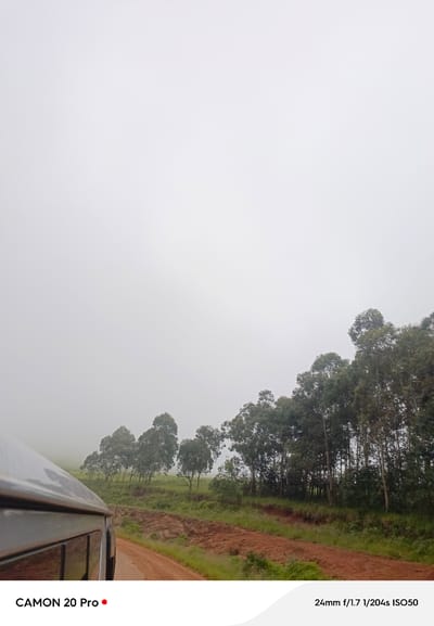 A low-angle, wide shot captures the side of a silver SUV driving on a dirt road in a misty, rural landscape. Trees line the right side of the road, their tops obscured by fog. The road is a reddish-brown dirt with some exposed soil on the embankment. The sky is overcast and white. Text in the bottom left corner reads "CAMON 20 Pro" with a red dot. Text in the bottom right corner reads "24mm f/1.7 1/204s ISO50." The location is identified as Nguroje, Nigeria.