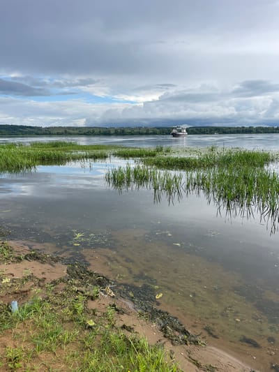 The image depicts a river scene with a small, multi-deck boat in the distance on the water. The foreground features a sandy bank with green grass and some debris, leading into the water where aquatic plants are growing. The water reflects the cloudy sky and the surrounding landscape of a treed embankment across the river. The overall impression is a serene, natural environment with a man-made element in the form of the boat.