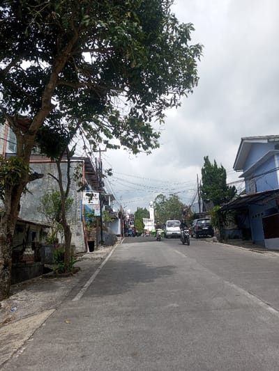 The image depicts a street scene in Naung Bo Oe, Myanmar, viewed from a low angle, looking uphill under an overcast sky. A large tree with dense green foliage occupies the upper left foreground, partially obscuring a building. To its right, a concrete sidewalk lines the left side of the paved two-lane road, which ascends towards the background. Various residential and commercial buildings, mostly two-story structures with weathered facades, line both sides of the street.

On the left, multiple utility poles with a dense network of overhead wires run parallel to the road. A white banner with red and black text is affixed to a building further up the left side. On the right, a light blue building with a gray roof is visible, along with a tall, slender conifer tree.

Traffic is present on the road, moving uphill. A white van is positioned centrally, followed by a dark-colored SUV. A motorcycle with a rider in dark attire is observed in the right lane. Another motorcycle, possibly with a sidecar, is to the left of the white van. Several other indistinct vehicles and people are visible further up the street. In the distant background, atop the hill, a prominent white structure featuring two domed minarets is visible, suggesting a mosque. The sky is uniformly gray and cloudy.