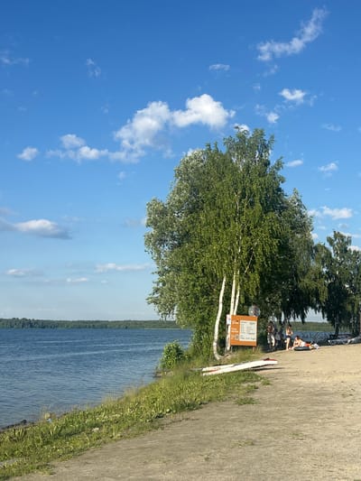 A wide shot captures a sun-drenched beach area alongside a calm, blue lake, with a dense, green forest bordering the opposite shore. In the foreground, a sandy path leads to a grassy embankment. A large birch tree with white bark stands prominently on the left, with other trees to its right. Two kayaks are propped up on the sand near the birch tree. Further to the right, a group of four individuals are present on the beach: two standing near a wooden sign with text in Cyrillic, and two others reclining on the sand. Beach chairs are visible in the background. The sky is a vibrant blue, dotted with fluffy white clouds. The overall atmosphere is peaceful and summery. This scene is located in the vicinity of the city of Санаторный, Russia.