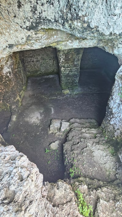 The image depicts a rock-cut tomb located in Kamen Bryag, Bulgaria. The tomb's interior is visible through an opening in the rocky ground. The walls of the tomb are rough-hewn stone, with traces of moisture and moss. There is a shelf or ledge carved into the wall. The exterior edges around the openings are also rocky and overgrown with sparse vegetation.