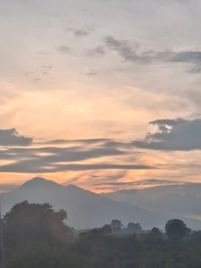 This is a vertical, full-frame photograph of a hazy mountain range in Keureuweungkrueng, Indonesia, during what appears to be either sunrise or sunset. The sky is filled with a gradient of soft peach and gray clouds, with distinct horizontal cloud bands that create a layered effect. Sunlight filters through some of these clouds, casting subtle beams. In the foreground, silhouetted against the sky, is a dense band of trees and foliage, with a prominent, large tree in the lower left. Behind the trees, a large, dark mountain with a rounded peak dominates the middle ground. The overall atmosphere is serene and slightly obscured by atmospheric haze. No people are visible in the image.
