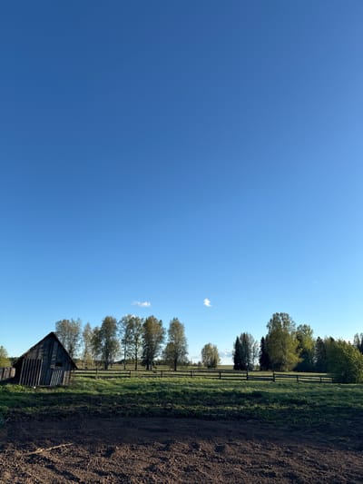 The image presents an outdoor scene under a clear blue sky with a single white cloud. The right side of the image shows a field, separated from a grassy area by a wooden fence. Trees line the fence. An old, dilapidated wooden structure, possibly a shed or small barn, is located in the foreground near the bottom right corner. The overall environment suggests a rural or agricultural setting. The location is not identifiable in the image.