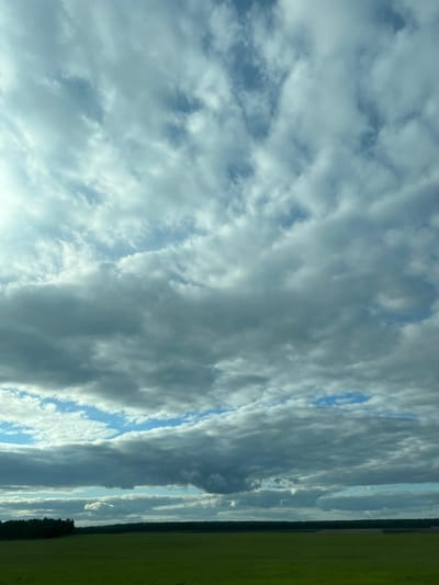 The image depicts a wide, open landscape under a dramatic, cloudy sky. In the foreground, a vast, green field stretches towards a dark, dense line of trees in the middle ground. This tree line forms a distinct horizon, separating the field from the sky. The sky above is filled with a variety of clouds, ranging from bright, white, wispy formations to darker, more ominous gray and blue-gray masses. Patches of blue sky are visible peeking through the clouds. The overall impression is of a natural, rural environment, likely during daylight hours, with the weather appearing somewhat changeable due to the cloud cover. There are no people, animals, or man-made structures visible in the scene. The location is identified as Сухая Балка, Russia.