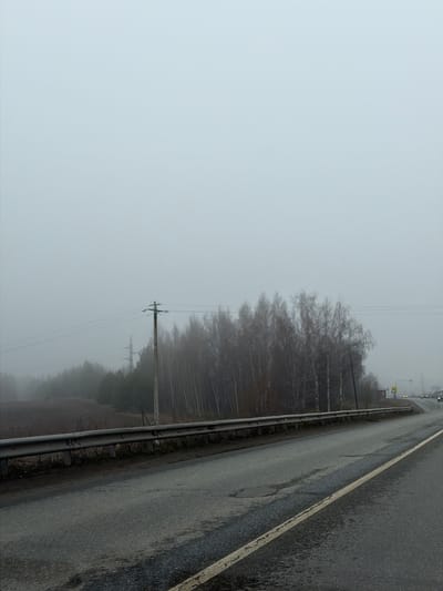 The image shows a foggy, overcast day in what is likely Bolgury, Russia, as specified. A gray asphalt road with a painted white line marking the edge runs along the right side of the frame. A metal guardrail separates the road from a line of bare trees, likely birch, that fade into the fog. Power lines are visible extending into the distance. A utility pole stands near the trees, partially obscured by fog. The overall scene conveys a sense of bleakness and isolation.