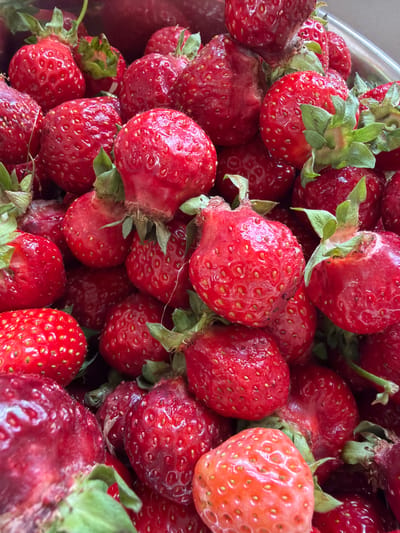 A close-up, overhead shot displays a pile of fresh, ripe strawberries. The berries are a vibrant red, with some showing slight variations in color from bright red to a deeper crimson. Their surfaces are textured with numerous small seeds, and their green stems and leaves are visible on some. The strawberries are packed closely together, filling the frame. No location in Dobratycze, Poland, is depicted.