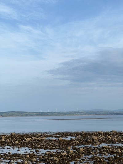The image depicts a coastal scene with a rocky shoreline in the foreground, transitioning to a calm body of water, and a distant green, rolling landscape dotted with several wind turbines. The sky is a pale blue with wispy clouds, suggesting either early morning or late afternoon. The shoreline is covered in numerous rocks of varying sizes, interspersed with dark, wet seaweed, indicating the tide is likely out. Small pools of water reflect the sky among the rocks. In the middle ground, a vast expanse of still water stretches towards the horizon. Beyond the water, a gentle, green terrain with agricultural fields is visible. A line of white wind turbines stands prominently on the hills in the distance, with a small settlement also discernible near the base of the hills. The overall impression is one of natural beauty and serene rural landscape. The specific location is not identifiable as Terhillion, Ireland, as this is not a known or recognized city or town in Ireland.