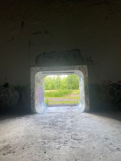 An image taken from inside a concrete structure, likely an abandoned bunker, looking out towards a wooded area. The interior walls are covered in graffiti, with spray paint in various colors and styles. The floor is concrete and appears dusty and worn. The entrance to the structure is an arched opening, framing a view of green trees and vegetation under a bright sky. A section of the interior wall near the opening is brightly decorated with colorful graffiti, predominantly purple and green. The exterior scene is lush and green, suggesting a temperate climate. The overall atmosphere is one of urban decay and nature reclaiming the man-made environment. The location is identified as a bunker in Kotka, Finland.