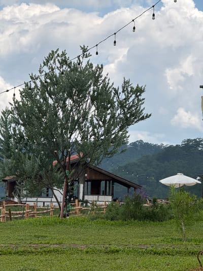 The image depicts an outdoor scene with a rustic wooden building, a large tree, and a scenic mountainous background. A string of lights with bare bulbs hangs across the top of the frame. In the foreground, a neatly mown grassy area is bordered by a rough-hewn wooden fence. Behind the fence, the building features a dark wooden roof with a visible overhang, and white-painted walls with large windows. A white umbrella is positioned to the right of the building. The background consists of densely forested hills under a cloudy sky. The location is identified as Xuan Truong - Da Lat, Vietnam. There are no people visible in the image.