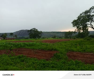 This is a wide landscape photograph taken in Gidan Jatau, Nigeria, featuring a rural scene. In the foreground, there are cultivated fields with patches of rich brown soil and vibrant green crops, possibly maize, interspersed with lush green grass. The middle ground shows a few traditional brick houses with tiled roofs, suggesting a small settlement. A lone palm tree stands tall amidst the greenery.
Dominating the background is a large, imposing rock formation, a prominent geological feature of the area. The landscape is dotted with various trees, some large and leafy, contributing to the verdant scenery. The sky is overcast with a pale grey hue, indicating a cloudy or possibly approaching rain day. A faint, warm glow on the horizon hints at either sunrise or sunset, casting a soft light across the distant hills.
The overall impression is one of a serene, agricultural community nestled within a natural, hilly landscape. There is no discernible activity or event taking place, the scene appears still and tranquil. The photograph captures the essence of rural life in Nigeria, highlighting the interplay between human cultivation and natural topography.
Visible text on the image includes "CAMON 20" with a red dot next to it, likely a product branding. In the bottom right corner, camera settings are displayed: "24mm f/1.7 1/33s ISO379". These details suggest the image was captured with a specific camera model and settings, providing technical information about the photograph.