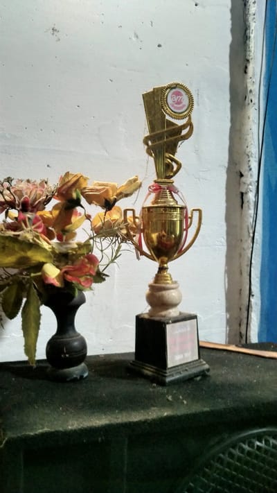 The image depicts a golden trophy with a black base resting on a dark surface, possibly a table or shelf. The trophy has two handles and a circular emblem at the top featuring pink and white text. To the left of the trophy is a dark vase containing a bouquet of dried or artificial flowers in shades of pink, yellow, and orange. The background consists of a textured white wall with some darker marks and a vertical blue element on the right side. The scene is dimly lit. The image is a still life composition.