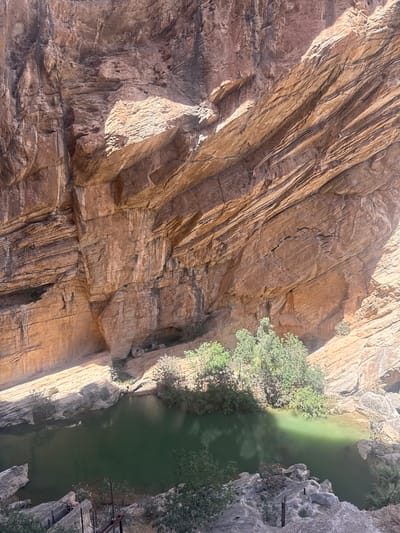 The image depicts a natural landscape featuring a deep gorge with steep, layered rock formations and a body of water. The rock walls are predominantly reddish-brown and orange, showing distinct horizontal stratification, indicative of sedimentary rock. Sunlight casts strong shadows, highlighting the texture and depth of the rock faces. At the bottom of the gorge, a calm, dark green body of water, likely a river or a reservoir, reflects the light. Lush green vegetation, including trees and bushes, grows along the edges of the water and in crevices of the rock face. The overall scene suggests a remote, natural environment.

This scene is located in the El Caminito del Rey trail, a famous walkway built along the side of a steep gorge in the municipality of Ardales, Spain. The trail is known for its stunning natural beauty, dramatic cliffs, and the Guadalhorce River below.