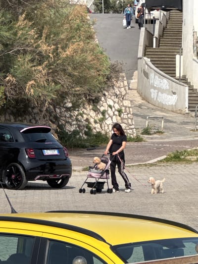 The image depicts an outdoor scene in Nettuno, Italy. A woman with long, dark hair is pushing a stroller, and walking a small dog on a leash. Parked nearby are a black car and part of a yellow car. The environment includes a stone wall, vegetation, and steps leading up to a building. Other people are visible in the background.