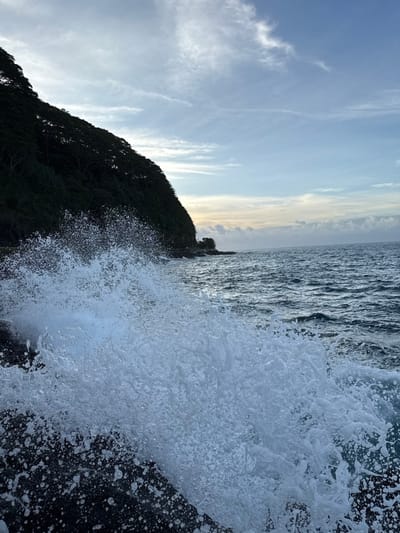 The image displays a dynamic coastal scene located in Hitiaʻa ʻo te Rā, France. In the foreground, a voluminous white spray of ocean water and foam is actively visible, generated by a wave impacting dark, textured rock formations at the water's edge. To the left, a steep, densely forested landmass, characterized by dark green foliage, ascends sharply from the shoreline. The open ocean, exhibiting a dark blue-grey hue and surface ripples, occupies the right and central mid-ground, extending to a distant horizon. The sky is partially obscured by thin, wispy clouds, displaying a light blue color that subtly transitions to faint orange and yellow tones at the horizon line. No individuals or anthropogenic structures are discernible within the frame.