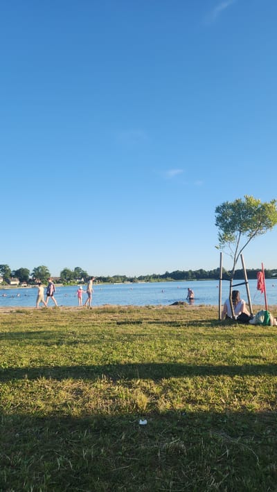 The image shows a sunny day at a lake or beach in Rezekne, Latvia. Several people are visible enjoying the water and the shore. In the foreground, a grassy area is illuminated by sunlight, casting long shadows. Further back, a sandy area lines the water's edge.
On the sandy strip, a group of four people are walking towards the right. One person, in a light-colored outfit, leads the group. Behind them, a person in a purple jacket and a person in a pink outfit are walking. Another person in a striped outfit follows.
In the water, several individuals are present. Some are swimming or wading, while others appear to be standing in the shallow areas. Buoys are visible in the water, marking swimming areas.
To the right of the frame, a young tree is supported by two wooden stakes. Beneath the tree, a person with dark hair is seated on the ground, facing away from the camera. They are wearing a white top and dark bottoms. Beside them are a backpack and a green bag.
In the background, a tree line with lush green foliage separates the water from a residential area with houses. The sky is clear and a vibrant blue. The overall scene depicts a serene and recreational atmosphere on a summer day.