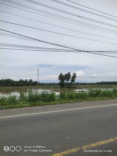 The image is an exterior, eye-level, wide-angle shot of a rural landscape in Cotpuuk, Indonesia. The foreground shows an asphalt road with a yellow line marking the edge of the lane. Beyond the road, there is a grassy embankment. The middle ground features flooded rice paddies, with patches of green grass growing along the edges. A cluster of palm trees stands on a small elevated area within the paddies. In the background, a tall, lattice-like transmission tower rises above a line of trees and vegetation. The sky is overcast with scattered clouds. The overall scene depicts a typical agricultural environment.