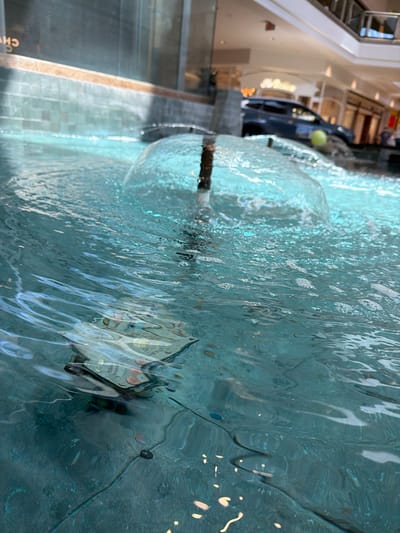 A close-up, low-angle shot captures a section of a public fountain with clear, turquoise water. In the foreground, several US dollar bills and a few coins are submerged just below the surface of the water, partially obscured by ripples and reflections. The money appears to be stacked or folded. In the mid-ground, a fountain nozzle is visible, spraying water upwards and creating a translucent dome-like shape of water that disperses into the pool. In the background, a blurred view of a shopping mall interior is visible, including storefronts, escalators, and a dark-colored SUV parked indoors, suggesting the fountain is located within the Mission Viejo mall. The overall scene is bright and somewhat glossy due to the water and reflective surfaces.