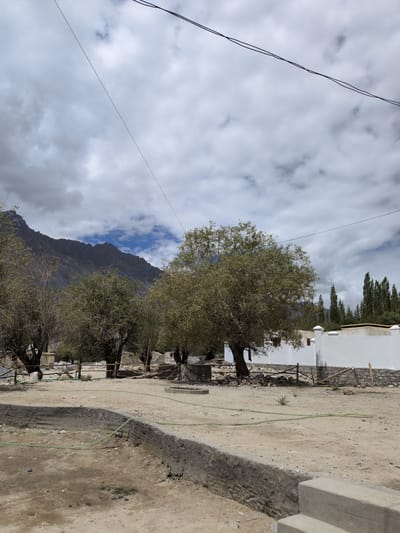 This is a full, eye-level, outdoor shot of an arid landscape in Panamik, India, on a cloudy day. In the foreground is a dry, dirt-floored area with a concrete structure. A green hose snakes across the ground. In the middle ground are several trees with sparse foliage, and a section of white wall with a fence. In the background are barren, mountainous peaks under a dramatic, cloudy sky. Power lines stretch across the top of the frame.