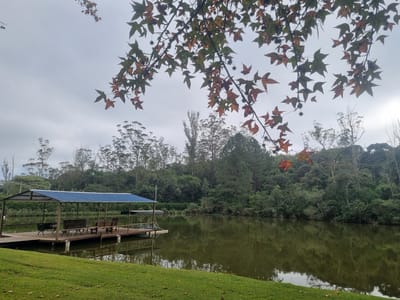 This image captures a serene lake scene with a wooden dock and a covered seating area. The dock extends into the water, featuring several wooden benches and a barbeque grill. The covered area has a blue corrugated roof supported by dark poles. The lake's surface reflects the lush green trees and the overcast sky. In the foreground, a manicured lawn slopes down to the water's edge. The background is dominated by dense, varied trees, suggesting a natural or park-like setting. The presence of colorful, autumnal leaves hanging from branches in the foreground indicates a seasonal element. The overall atmosphere is tranquil and inviting, possibly a recreational spot within Mogi Das Cruzes, Brazil, offering a peaceful escape.