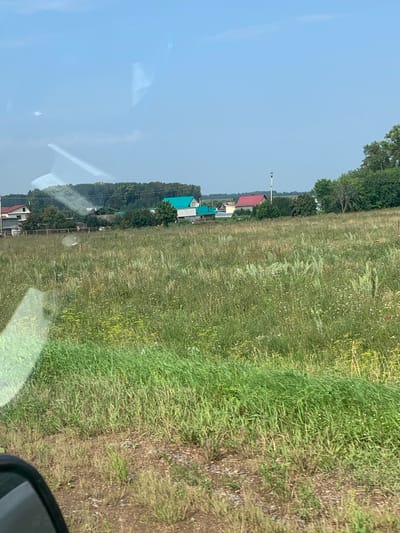 The image displays a landscape scene, likely in a rural area. In the foreground, a dense field of tall green grass and wildflowers stretches across the frame. The terrain appears slightly uneven with patches of dry earth and sparse vegetation. In the mid-ground, a line of trees forms a natural border, behind which several houses with various roof colors, including red and turquoise, are visible. A tall, slender tower stands near one of the houses. The background is dominated by a clear, pale blue sky with faint reflections, possibly from a window or vehicle. The overall impression is that of a sunny day in a peaceful countryside setting.