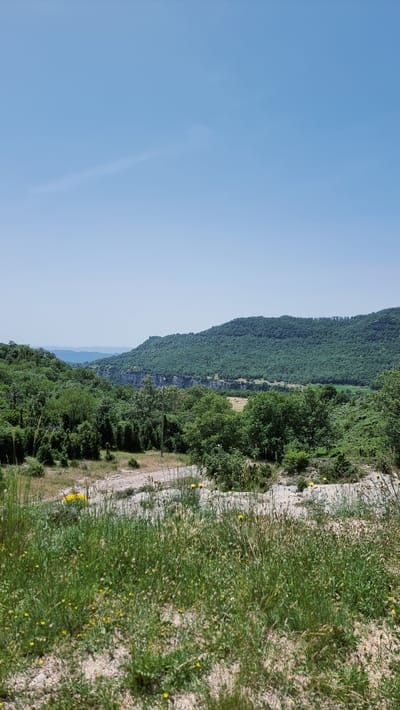 The image depicts a serene, verdant landscape under a clear, pale blue sky, suggesting a sunny day. The foreground is dominated by a patch of dry, sandy ground covered with wild grasses and small yellow wildflowers, hinting at a somewhat arid climate or season. As the gaze moves towards the midground, the terrain becomes more undulating, with a dense concentration of trees and shrubs forming a thick green canopy. A few sparse, taller grasses and what appear to be wildflowers are scattered throughout this area. A thin, light-colored dirt path or track is visible, snaking through the vegetation. A solitary, dark utility pole stands prominently in the midground, suggesting some level of human infrastructure exists in the otherwise natural setting.

In the background, a dramatic geological formation takes center stage. A sheer, grey cliff face, possibly a limestone escarpment, rises abruptly, its rocky texture contrasting with the lush greenery surrounding it. Beyond the cliff, a large, densely forested hill or mountain slopes upwards, its surface completely covered in a multitude of trees, forming a deep green expanse. Further in the distance, rolling hills or mountains fade into a hazy blue, suggesting a vast expanse of land. The overall impression is one of rugged natural beauty, with hints of human presence in the form of the utility pole and the faint path. The location is identified as being in the municipality of Susqueda, Spain, a region known for its natural parks and rural landscapes, which aligns with the scene depicted.