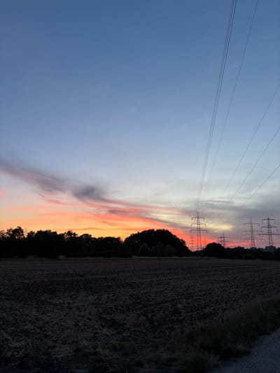 The image depicts a sunset over a rural landscape near Ludwigshafen am Rhein, Germany. The sky is a gradient of blues and purples, with vibrant streaks of orange and pink from the setting sun. Silhouetted against the colorful sky are a line of trees and several towering electricity pylons. The foreground is a dark, plowed field, with dry grass and stubble visible. A dirt path runs along the right edge of the frame, leading into the distance. The overall atmosphere is serene and slightly melancholic, with the industrial structures of the pylons juxtaposed against the natural beauty of the sunset.