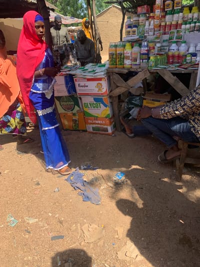 In Boi A, Nigeria, a marketplace scene unfolds. A young woman, draped in a vibrant pink hijab and a flowing blue dress, stands prominently in the foreground. Her attire, adorned with white lace trim, suggests traditional clothing. To her left, another individual in an orange outfit is partially visible, and further back, several men are present, some standing and others seated.

The backdrop is a makeshift stall laden with an array of products, predominantly agricultural chemicals and pesticides. Various bottles, boxes, and sachets are stacked, displaying brand names such as "Easyclear," "Glycot," and "Glywell." These are arranged on wooden shelves, suggesting an outdoor retail setting. The ground is a mixture of sand and dirt, with scattered debris, including plastic wrappers and fabric scraps, indicative of a busy, albeit untidy, commercial area. Shadows cast by the overhead structures and people indicate a bright, sunny day, typical of the Nigerian climate.