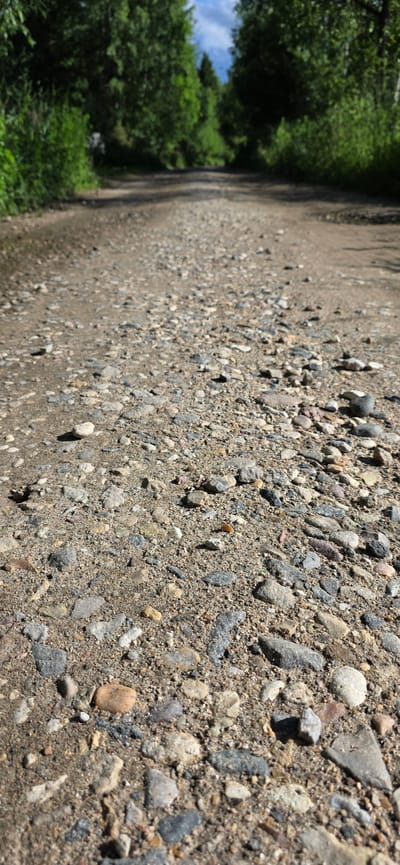 This is a low-angle, ground-level shot of a dirt and gravel road winding through a wooded area. The road is covered in small stones and sand, with larger rocks scattered throughout. The foreground is sharply focused on the textured road surface, while the background of the road and the surrounding trees are progressively blurred, creating a sense of depth. The trees are lush and green, suggesting a summer or late spring setting. The sky is visible through the trees in the distance, with hints of clouds. The scene appears to be in a rural or semi-rural environment, possibly a nature trail or a less-maintained road. There are no people or vehicles visible in the image. The light suggests it is daytime, likely with the sun shining through the trees, casting some shadows on the road. The overall impression is one of natural, undisturbed scenery.